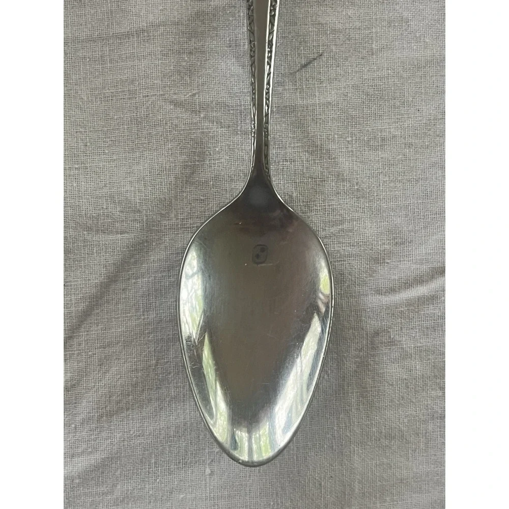 International Decorator FASCINATION‎ Stainless Steel Spoon